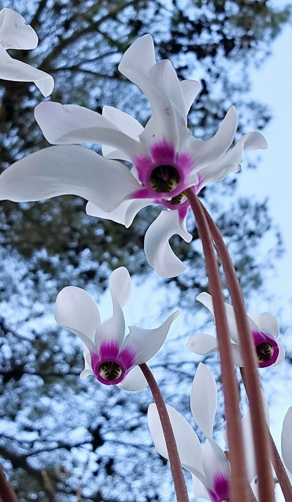 Photograph by Irena vaisman