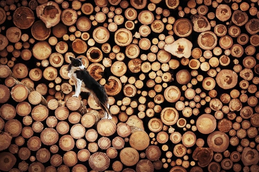 Photograph by Denisa Albaniová