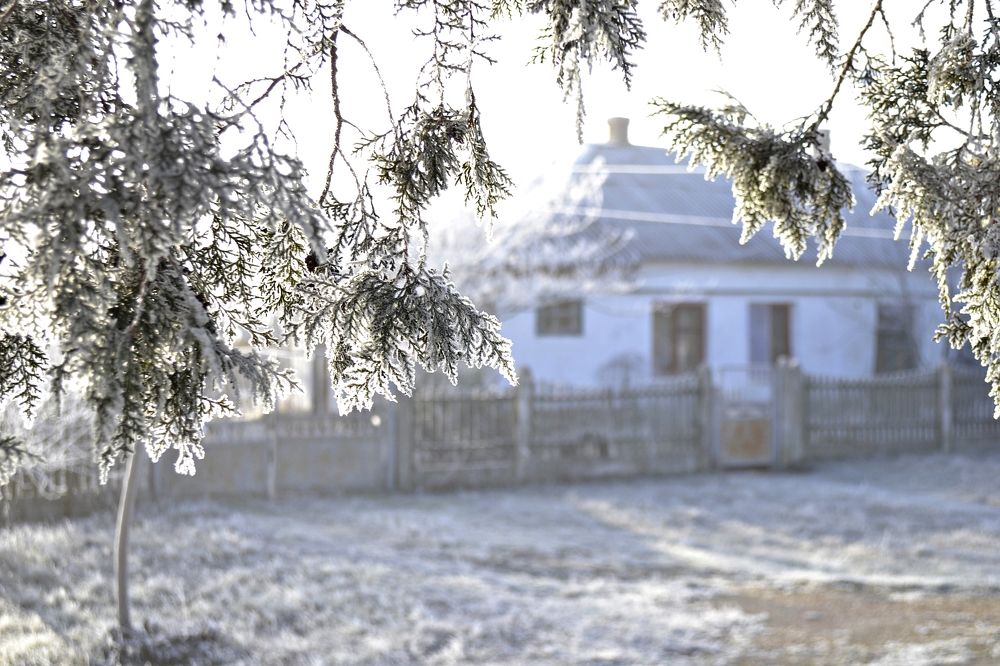 Photograph by Остапчук Ольга