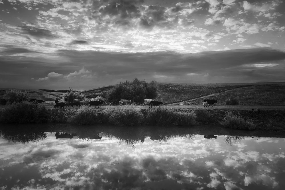 Знакомой дорогой домой...