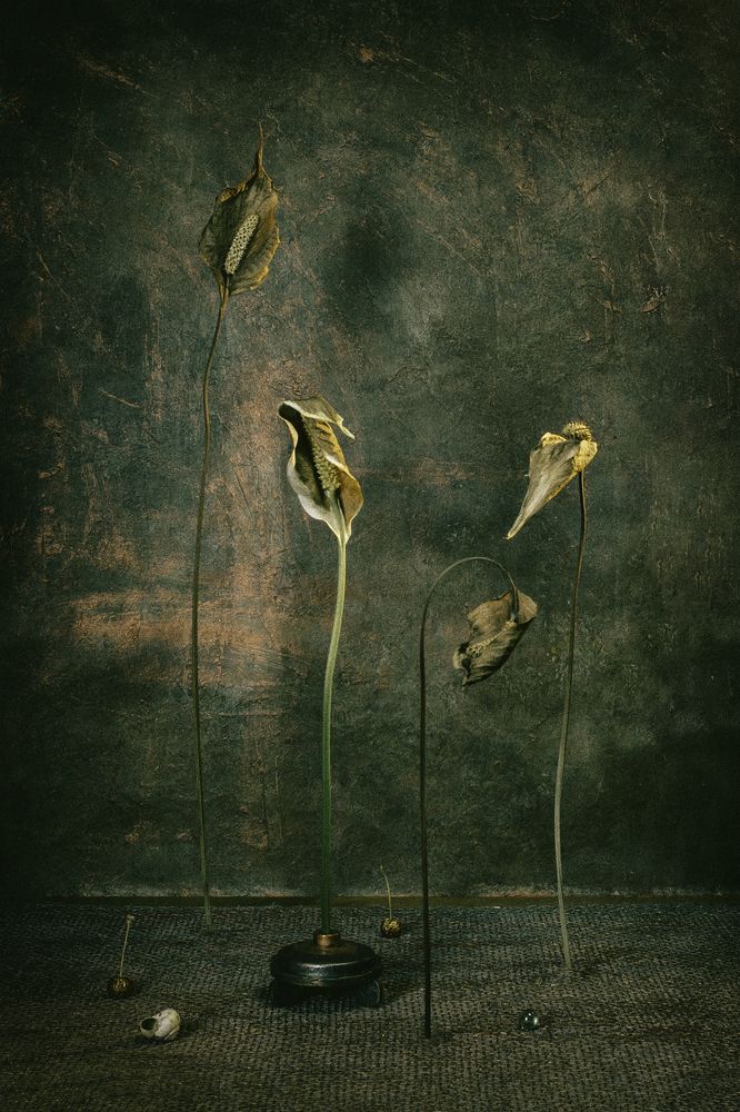 Photograph by Линар