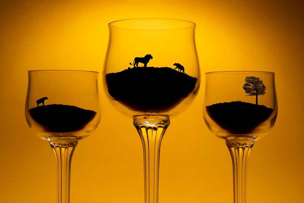 Photograph by Everton Medeiros