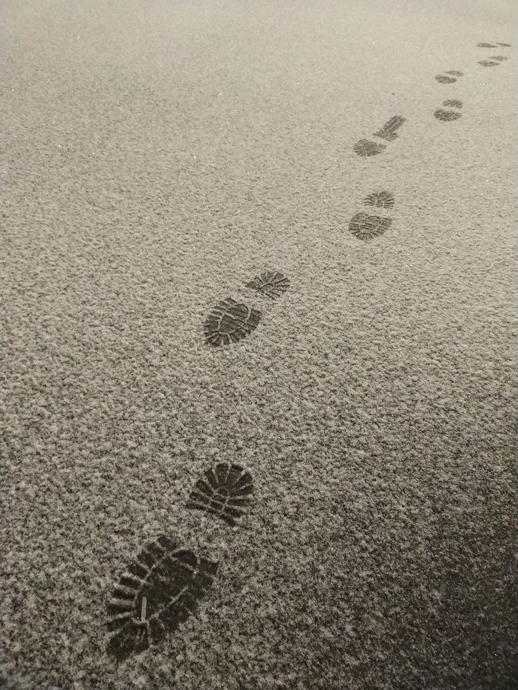 Photograph by Ольга Мартьянова