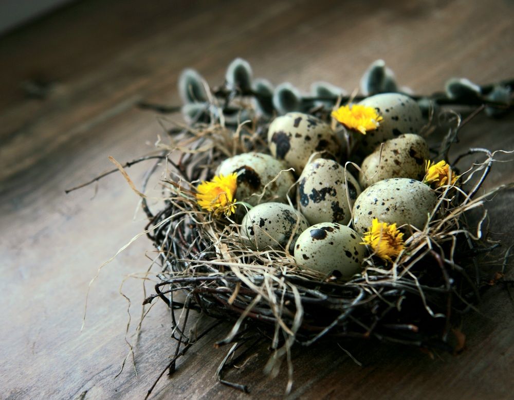 Photograph by Алена Ходатович