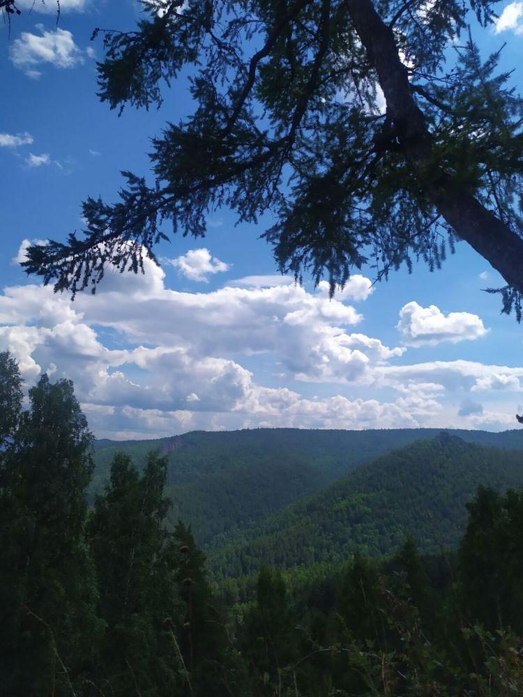 Фотография автора Анастасия Демина