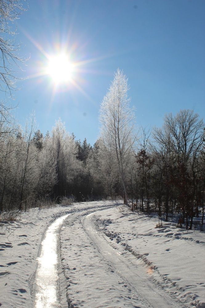 Photograph by Елена Калганова