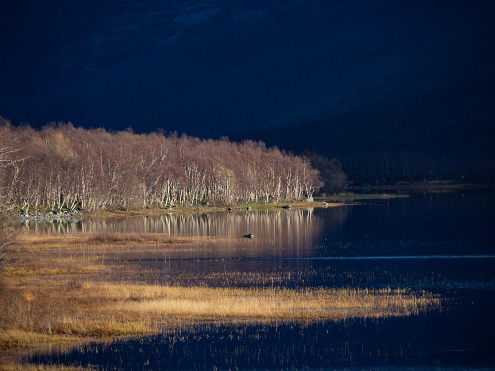 Photograph by Grete Stensrød