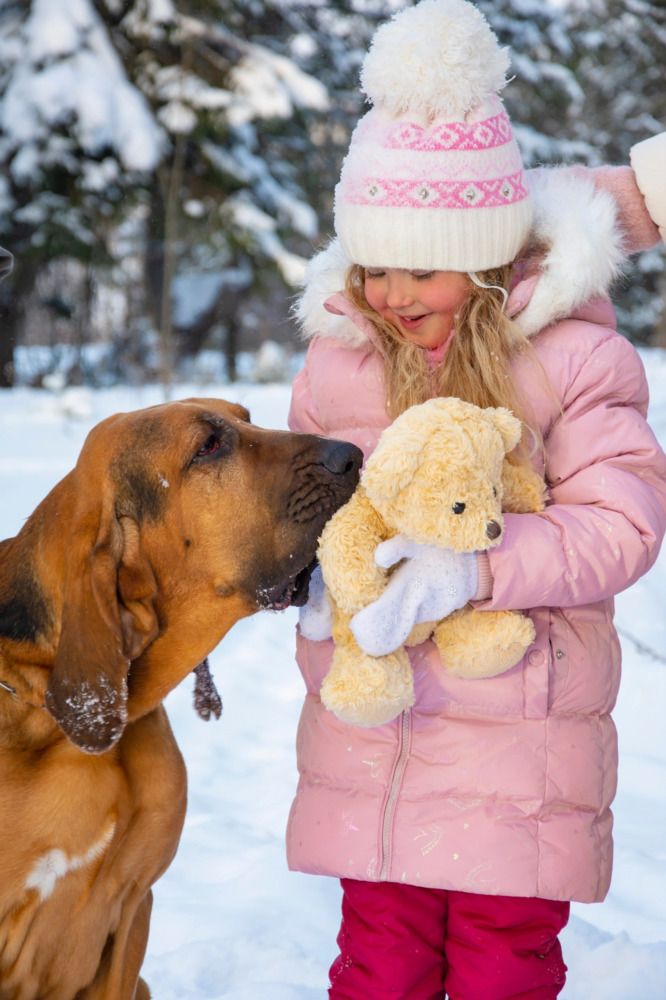 Фотография автора Злобин Сергей