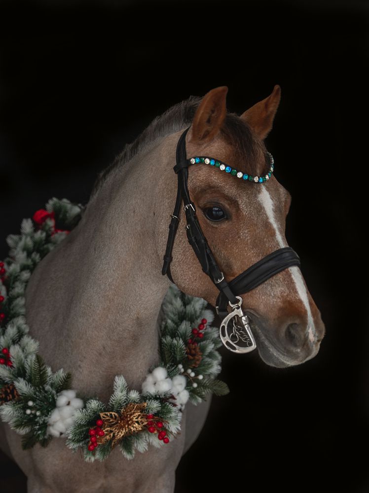 Photograph by Дарья Лисицына