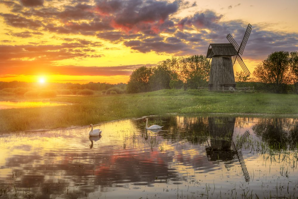 Photograph by Эдуард Гордеев