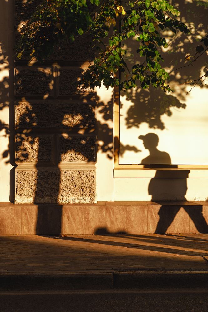 Галерея теней