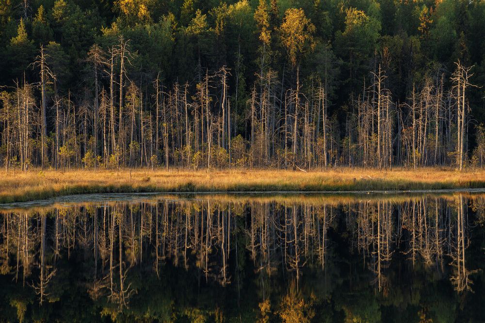 Photograph by Иван Чаланов