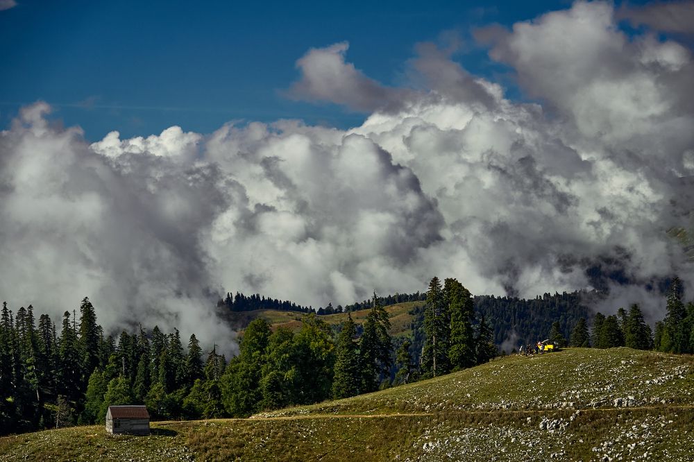 Фотография автора Игорь Игоревич