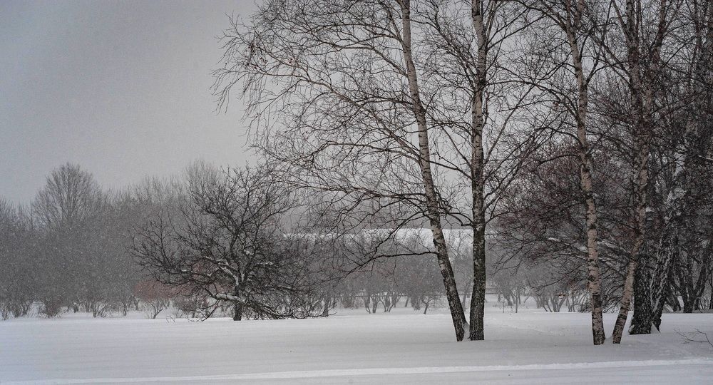 Photograph by Сергей Басов