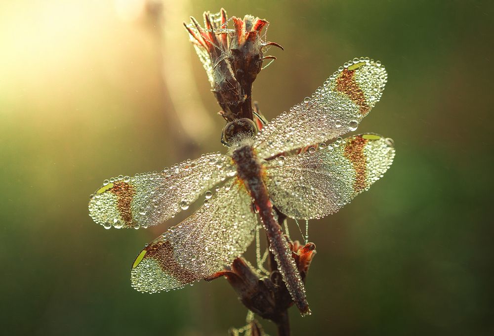 Photograph by Брытков Николай