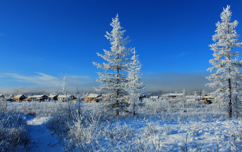 Photograph by Александр Велигура