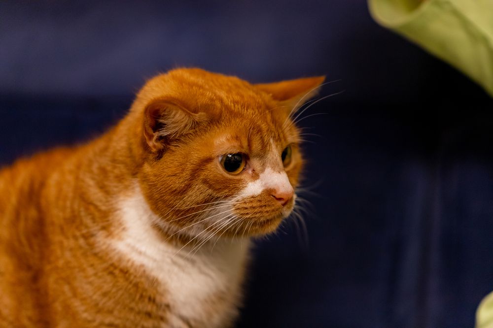 Photograph by Константин Чижов