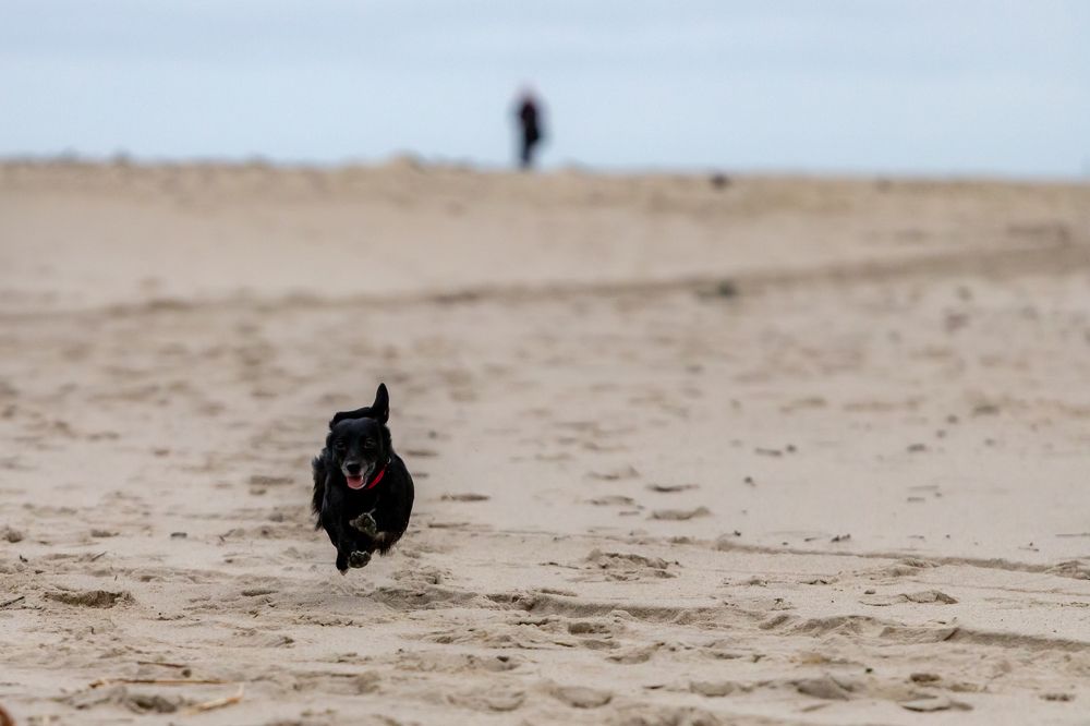 Photograph by Константин Чижов