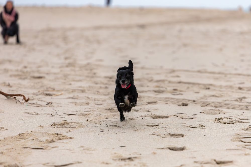 Photograph by Константин Чижов