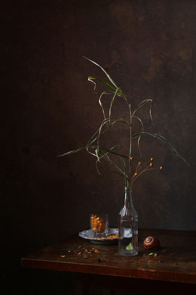 Photograph by Курочкина Диана