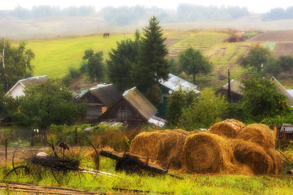 д. Вяльки. После ливня