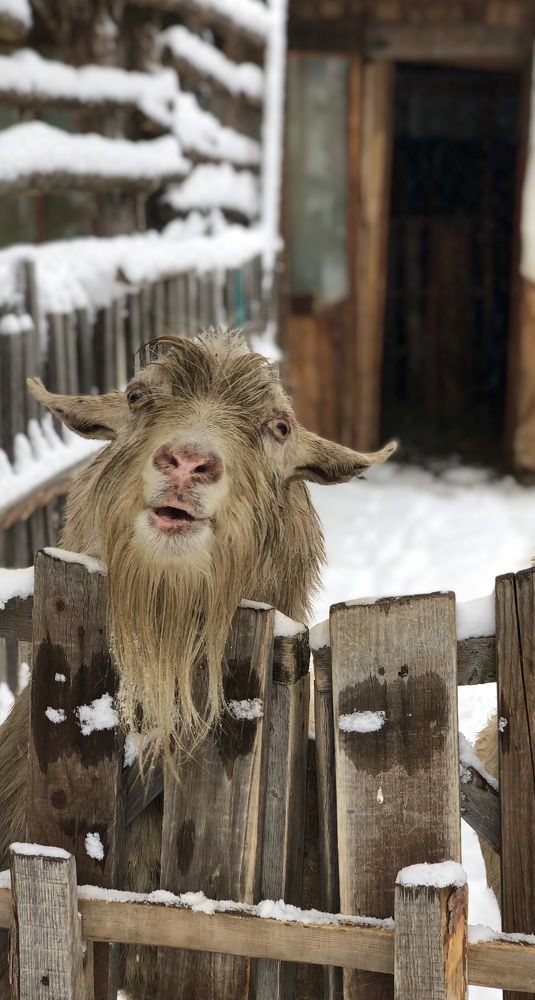 Фотография автора Евгения Елисеева
