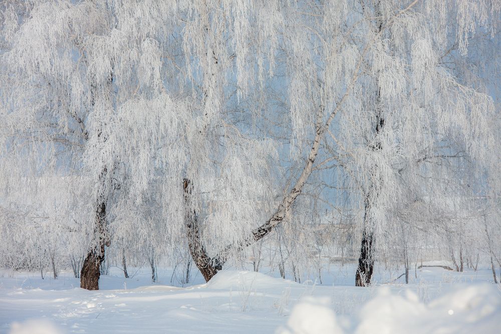Фотография автора Игорь Васильев