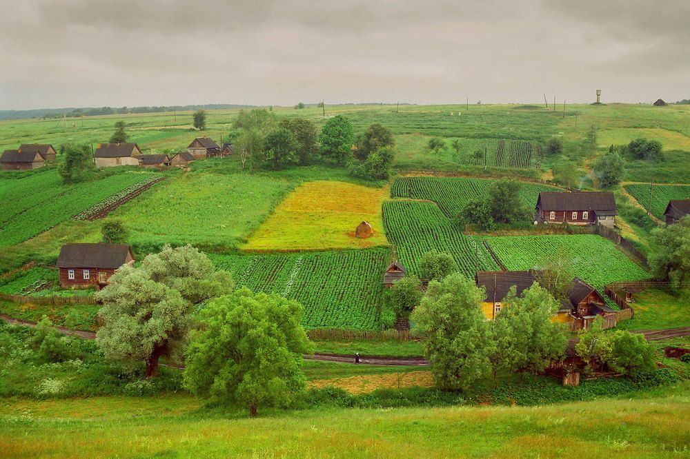 Тихая моя родина! Ивы, река, соловьи…