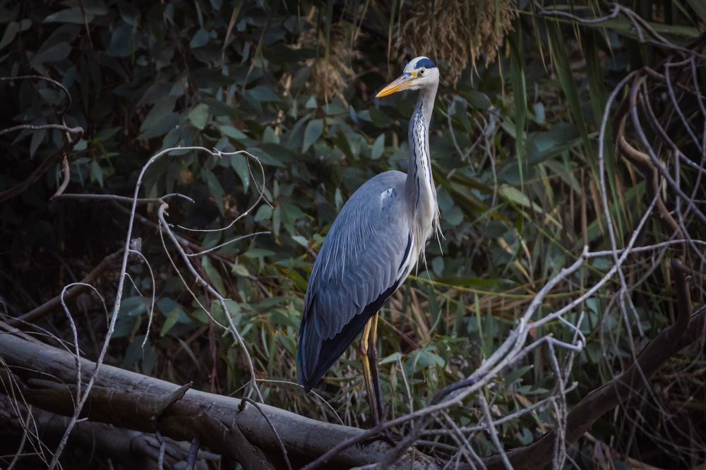 Photograph by Antonis Papaconstantinou