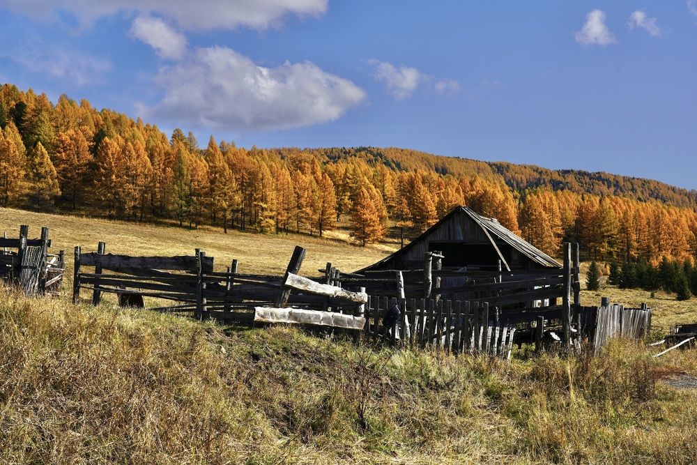 на спуске с Семинского перевала