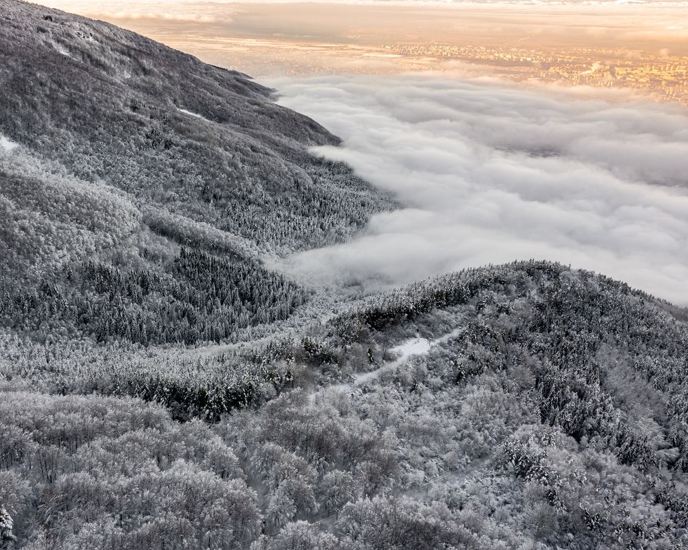 Photograph by Konstantina