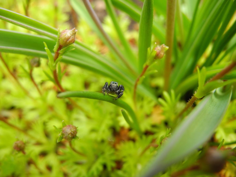 Photograph by Андрей Головин