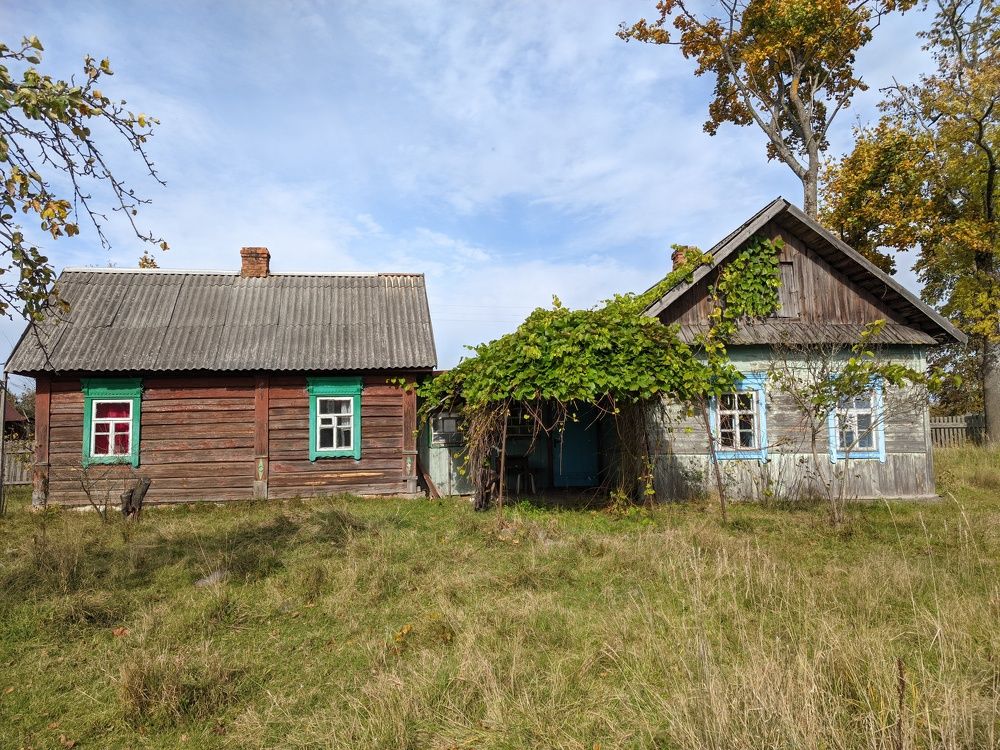 Photograph by Владимир Шаруба