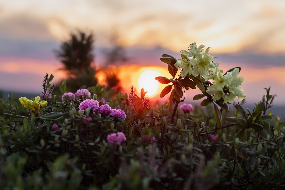 Photograph by Зарышнюк Роман