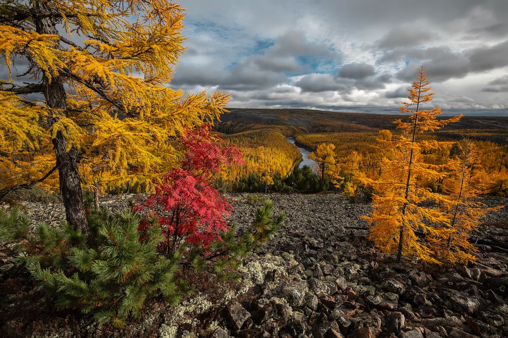 Photograph by Зарышнюк Роман