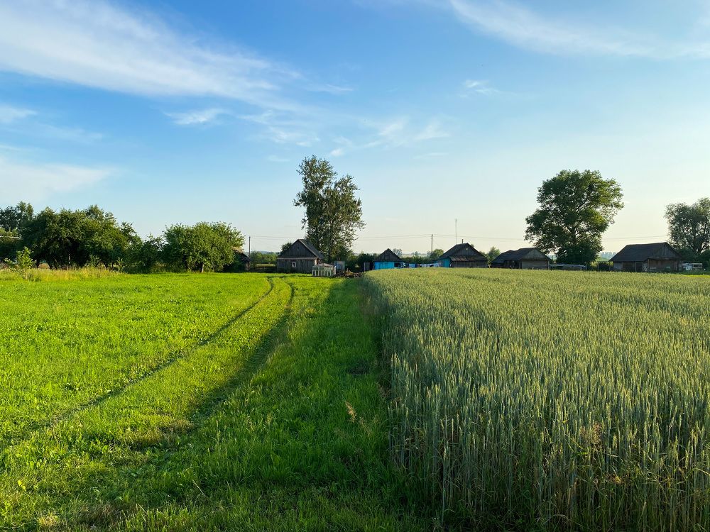 Photograph by Alexey Nuzha