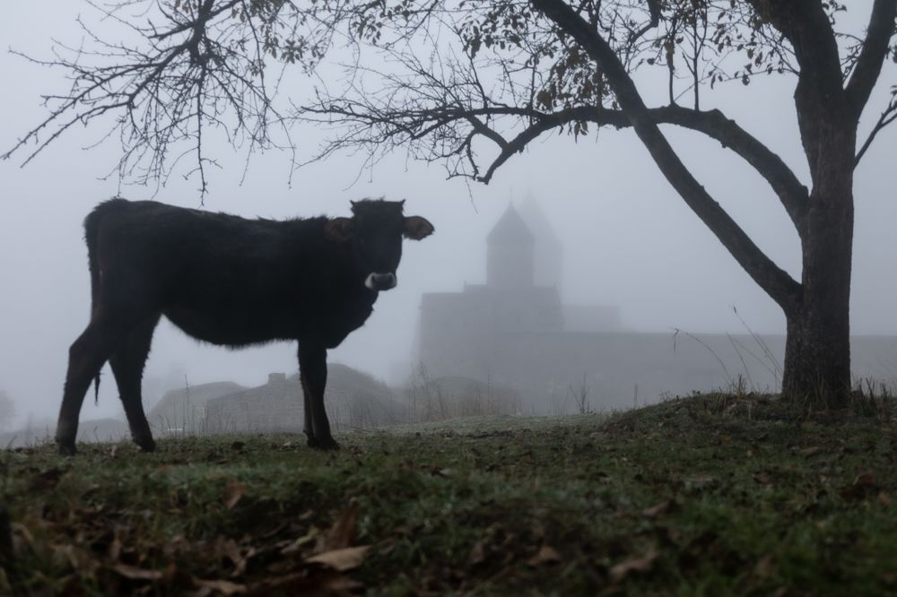 Photograph by Vladimir