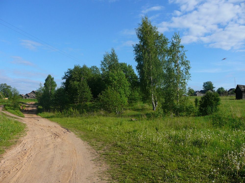 Photograph by Юлия Локалова