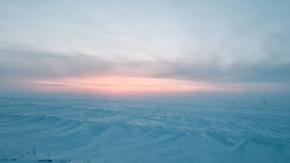 Photograph by Денис Давыдов