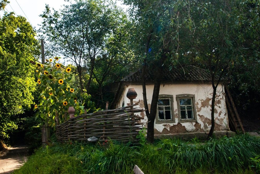 Photograph by Любава Носкова