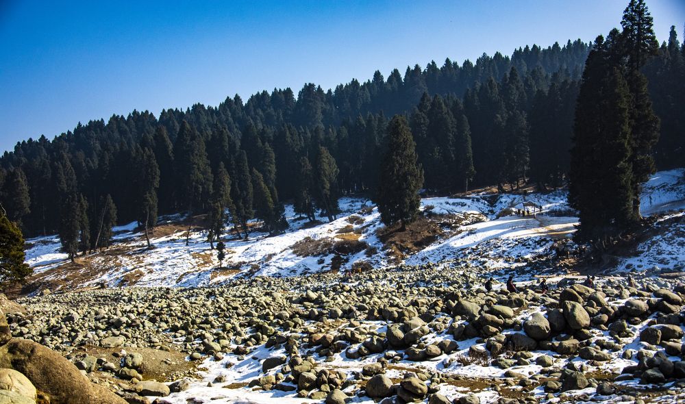 Photograph by Kushal Sharma