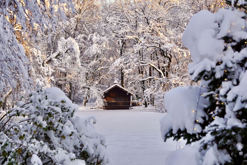 Фотография автора Liudmila Kiermeier