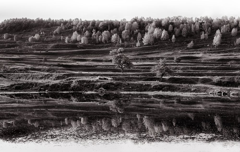 Photograph by Анастасия Колесникова