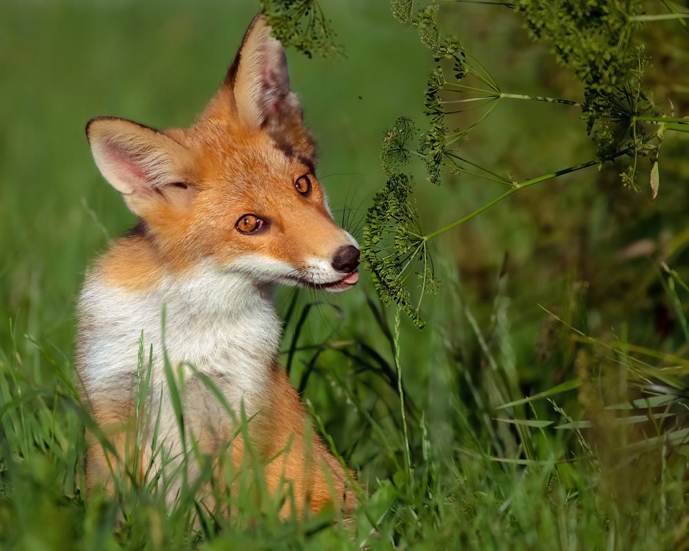 Photograph by Елена