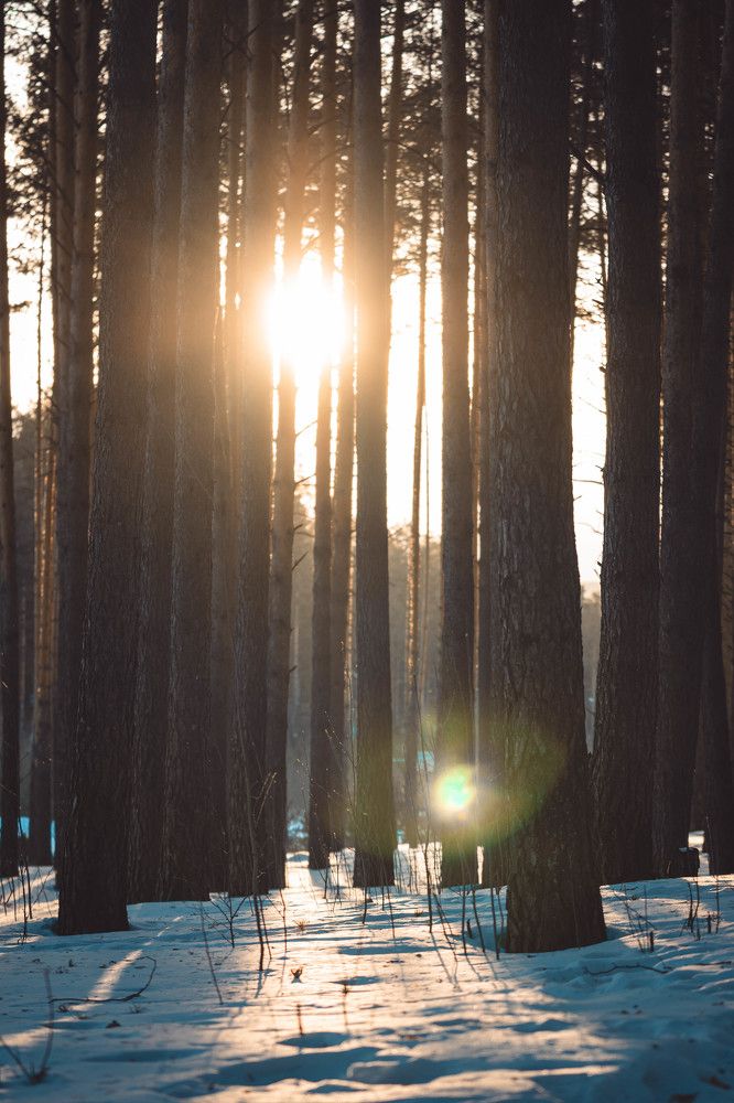 Photograph by Иван Кривоносов