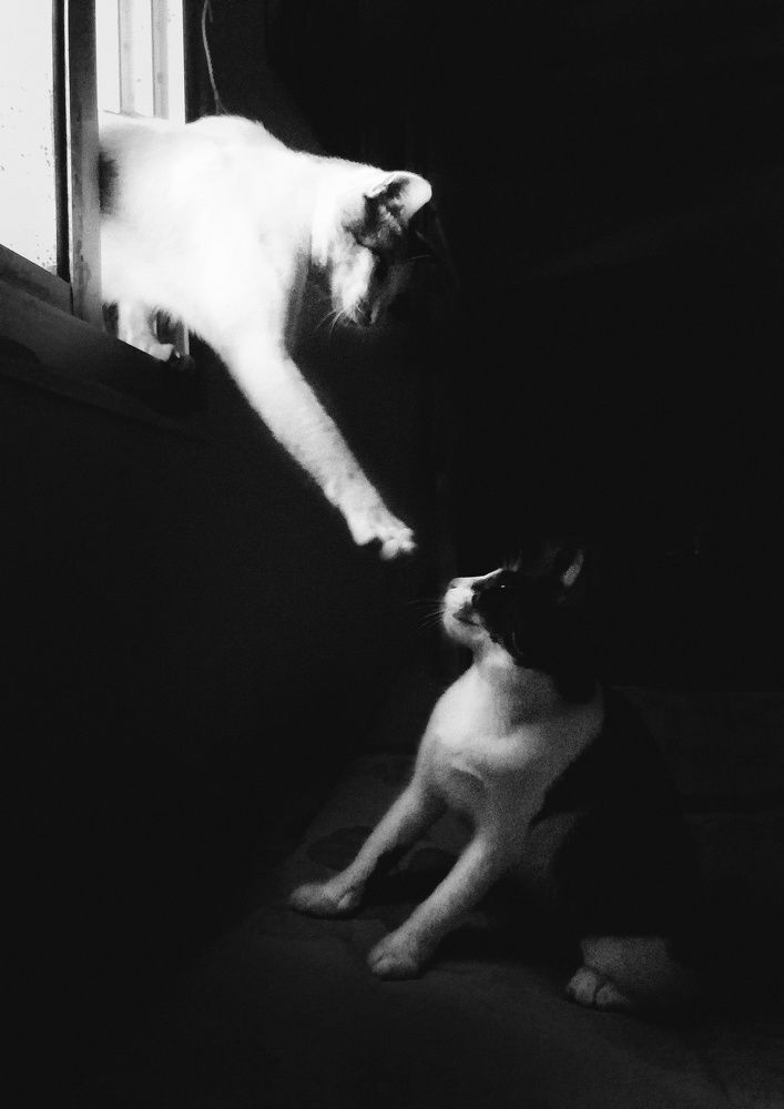 Фотография автора Abhitha