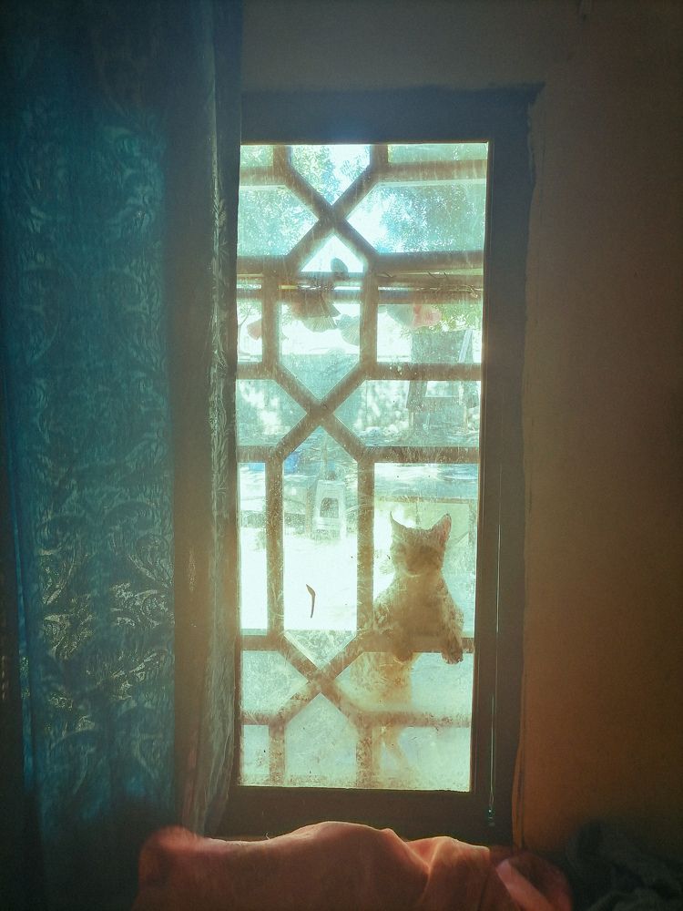 Фотография автора Abhitha