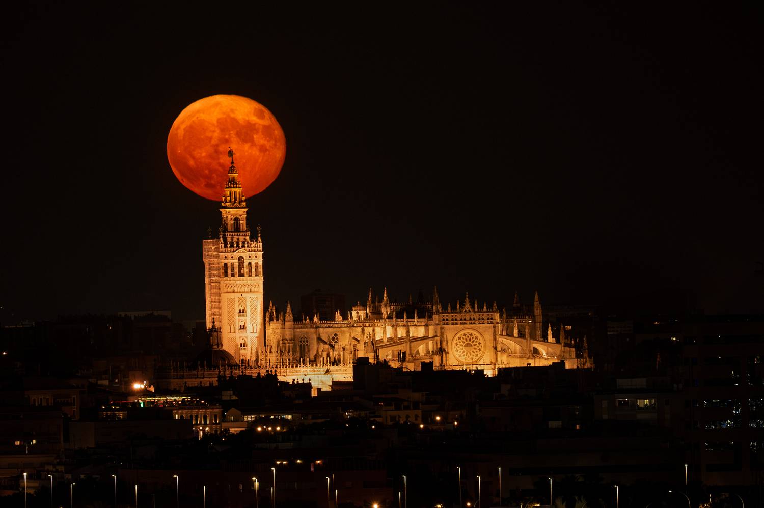 Фотография #10213331