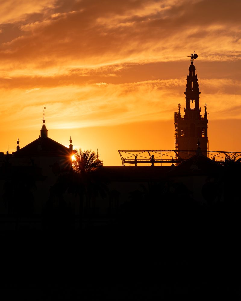 Seville City