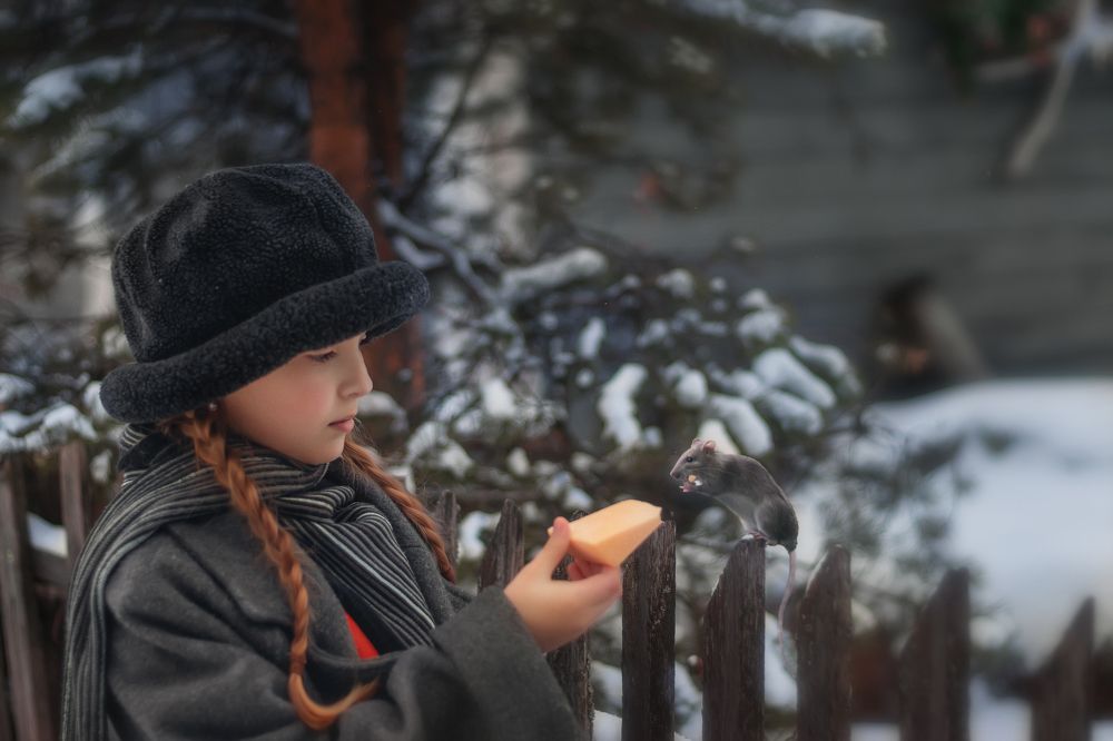 Photograph by Баранова Виктория